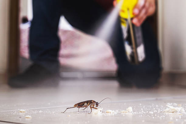 Best Pest Control Near Me in Delaware, OH